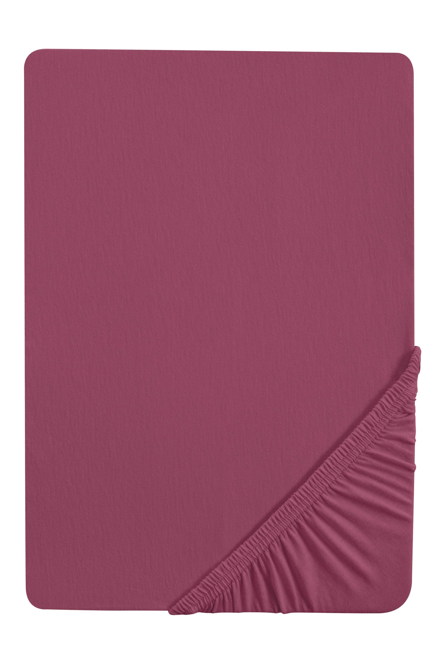 Fitted sheet mako-jersey double