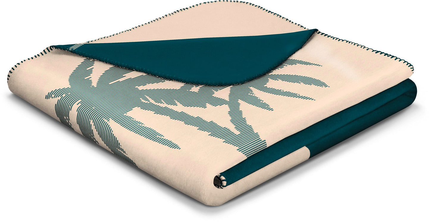 Blanket cotton