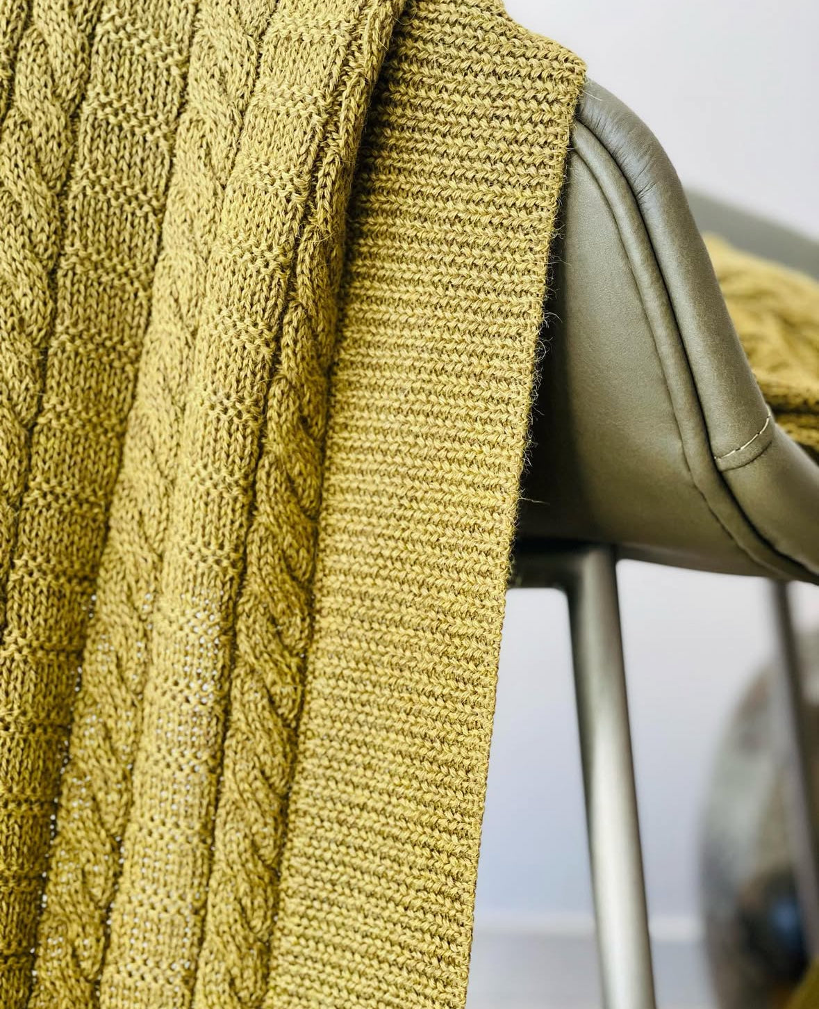 Պլեդ բեյբի ալպակա