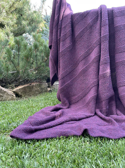 Պլեդ բեյբի ալպակա