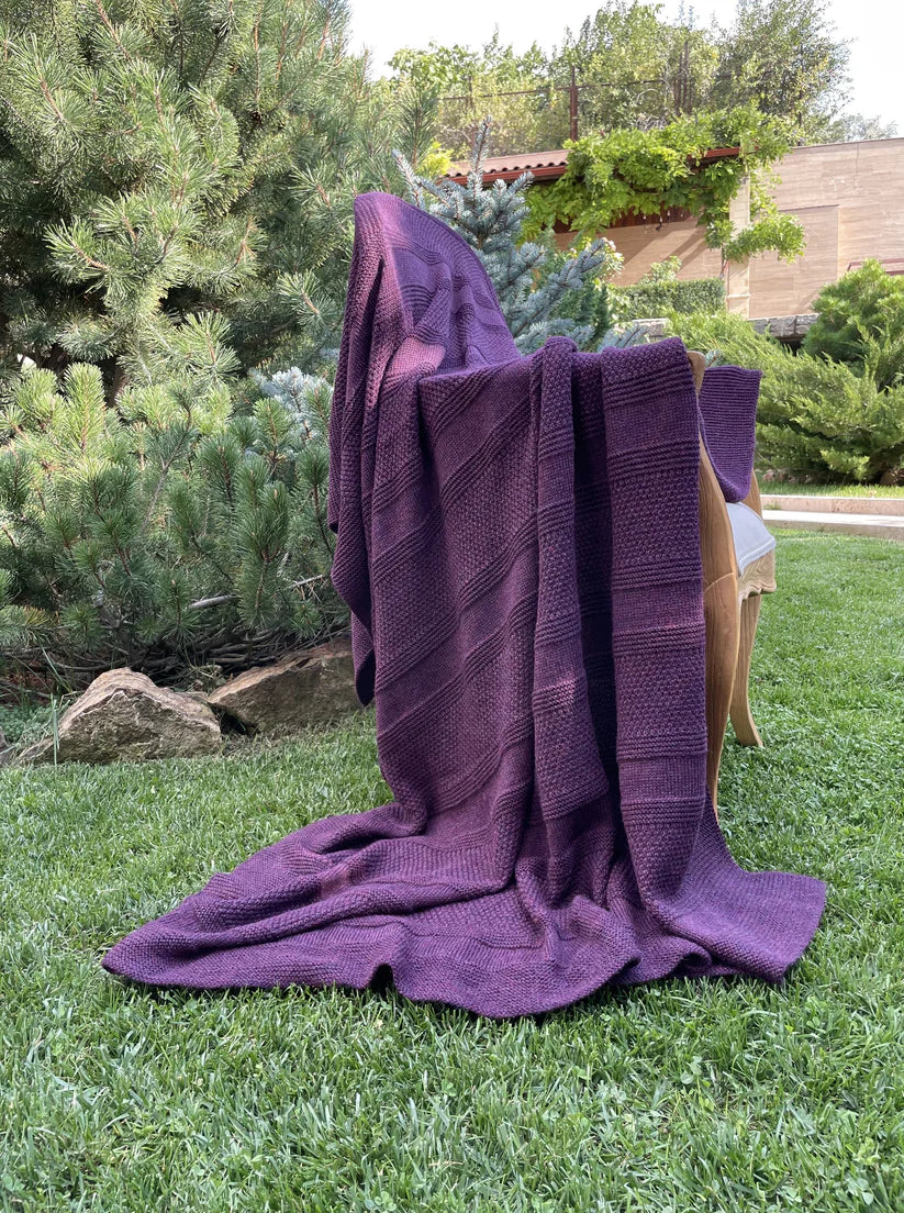 Պլեդ բեյբի ալպակա