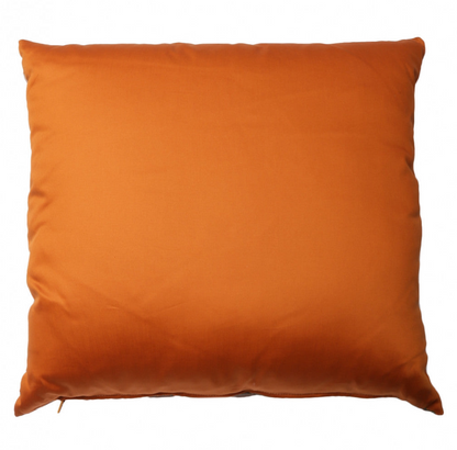 Cushion cotton Etro